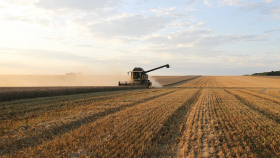 РФ в 2020 - 2021 сельхозгоду экспортировала 36,2 млн тонн пшеницы